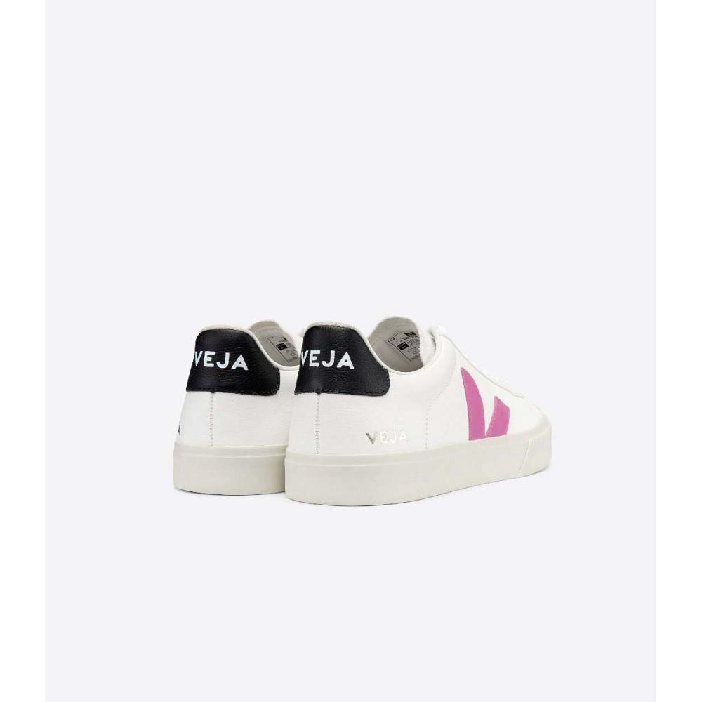 Veja CAMPO CHROMEFREE Low Tops Sneakers Damske White/Purple | SK 597FDN